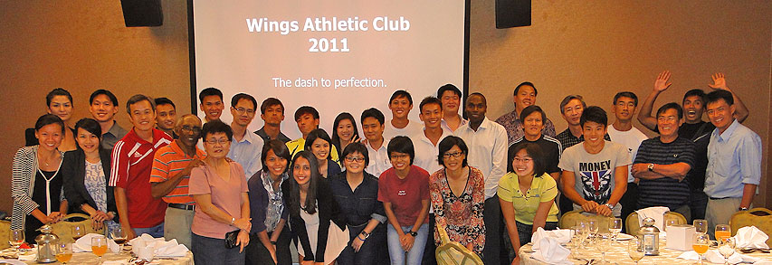 Wings